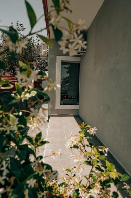 Вилла Sophia'S Coastal Retreat Коринос Экстерьер фото